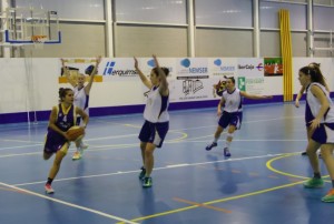 Nemser TGN Bàsquet en un dels últims partits jugats