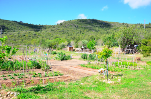 Els aliments d'aquest hort aniran destinats als que més ho necessiten.