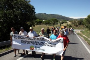 Prop d'un centenar de pagesos del sector de la fruita seca van tallar la C-14 a Alcover. Foto: ACN