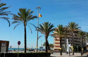 Passeig de Calafell, amb l'estelada onejant d'un fanal